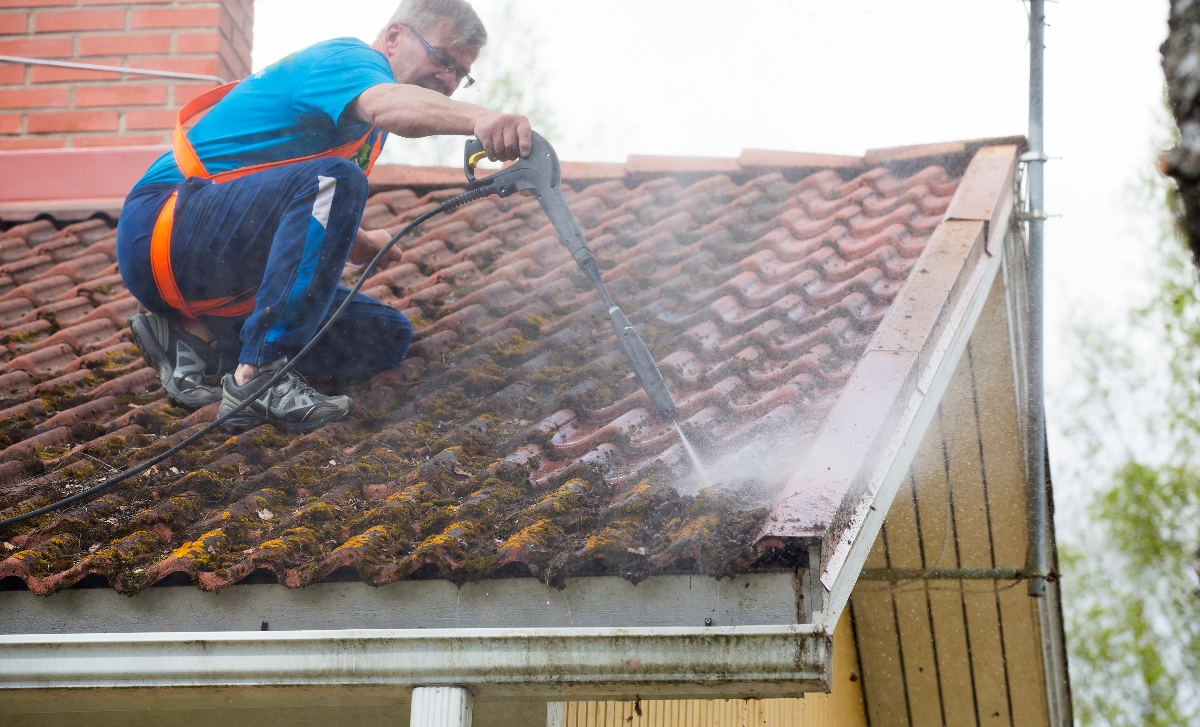 Image Gallery tec-nut.com for Premier Roof Clean -   Fascias,  Roof Cleaning,  Soffits & Guttering Cleaning,  premier roof clean Roof Cleaning, Roof Cleaning in Woking,  Moss Removal,  Conservatories